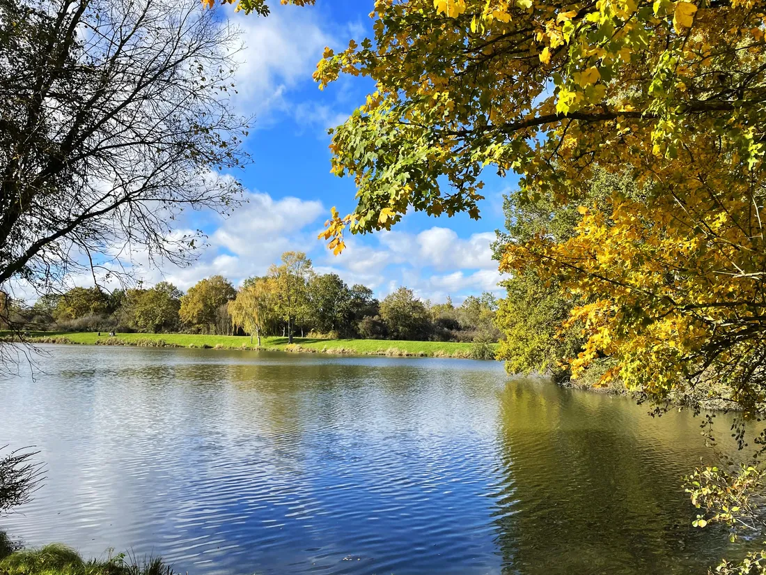 Bassin de la Boissière à Elancourt