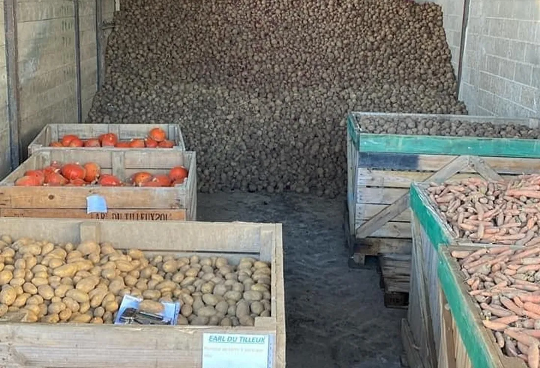 Légumes à 1 euro le kilo