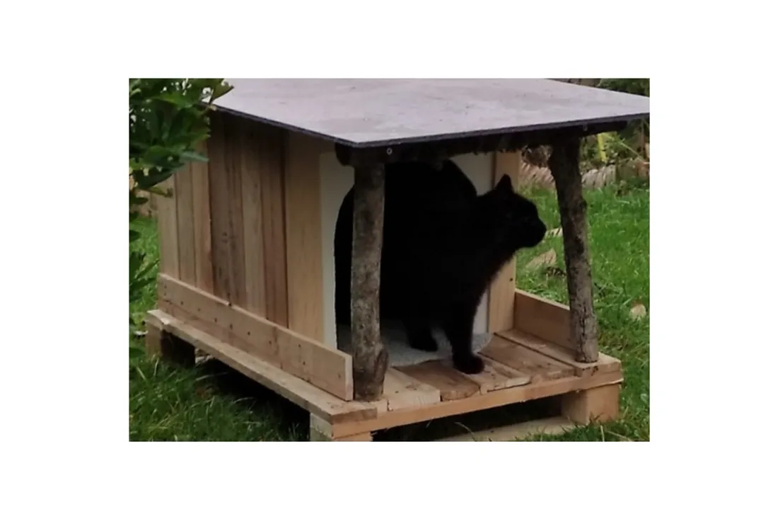 Chat