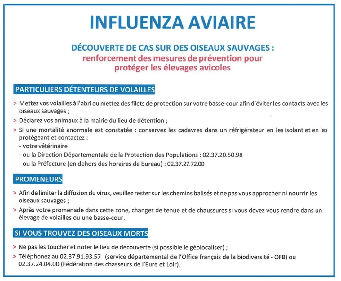 Marche à suivre pour la grippe aviaire