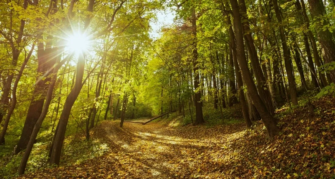 Site du Bout du monde