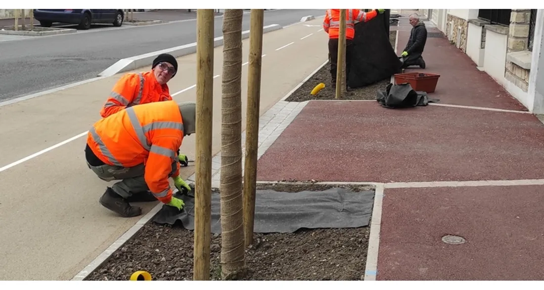 Dépose de toiles géotextiles