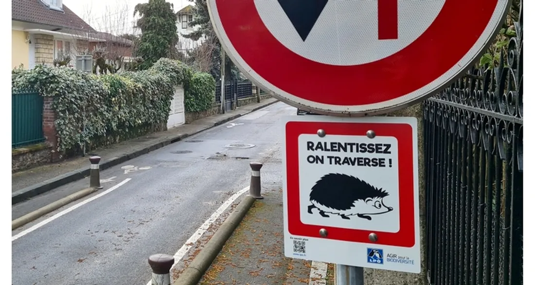 Panneau pour les hérissons