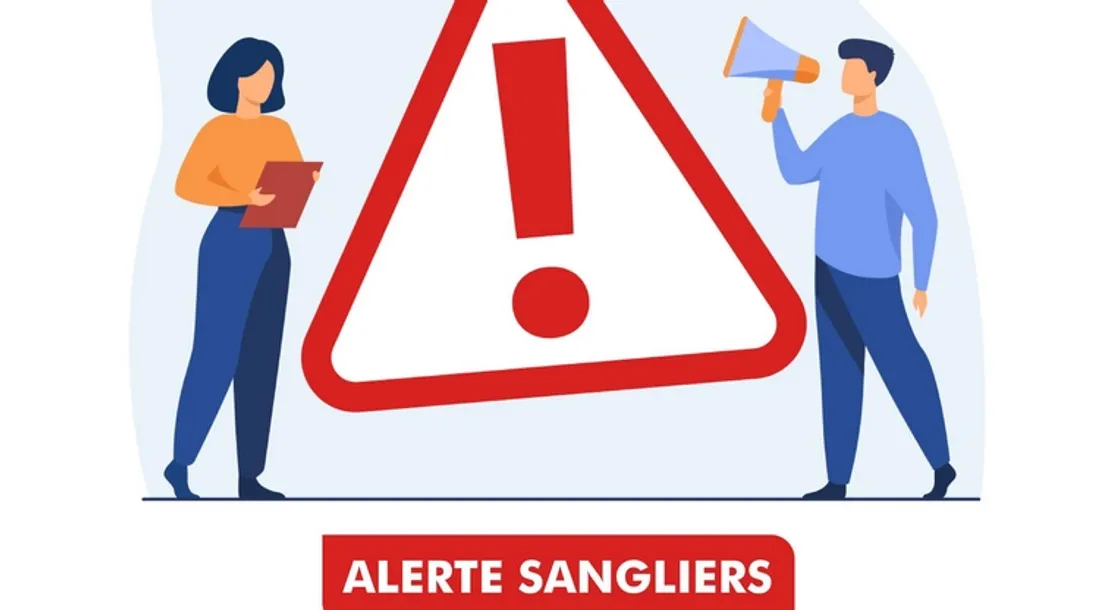 Alerte sangliers