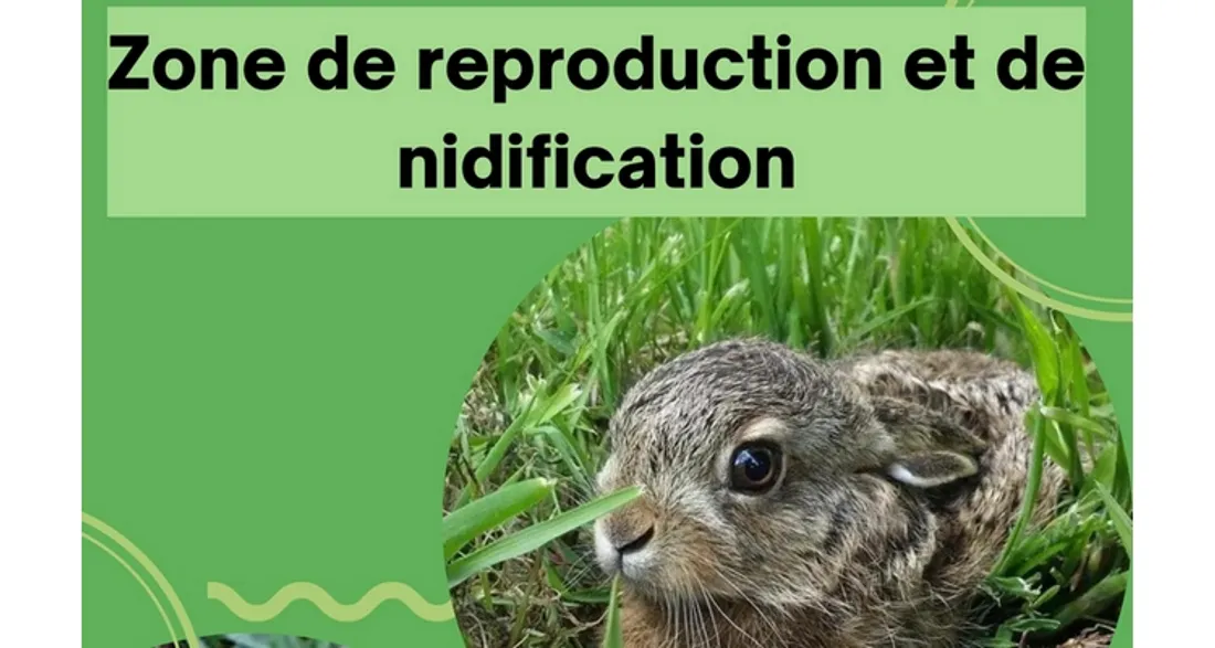 Période de nidification