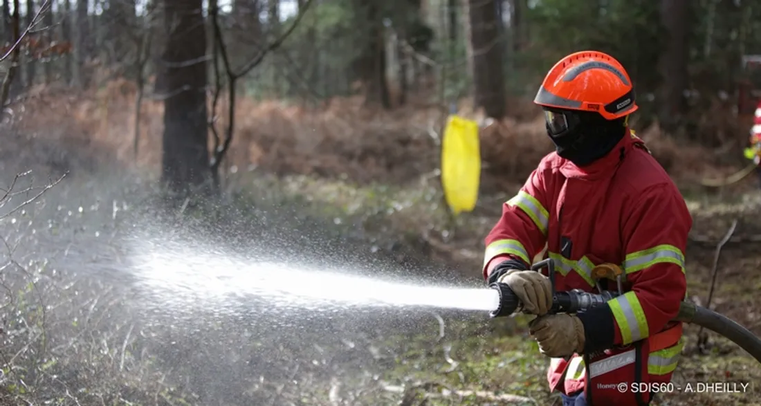 Entraînement en forêt