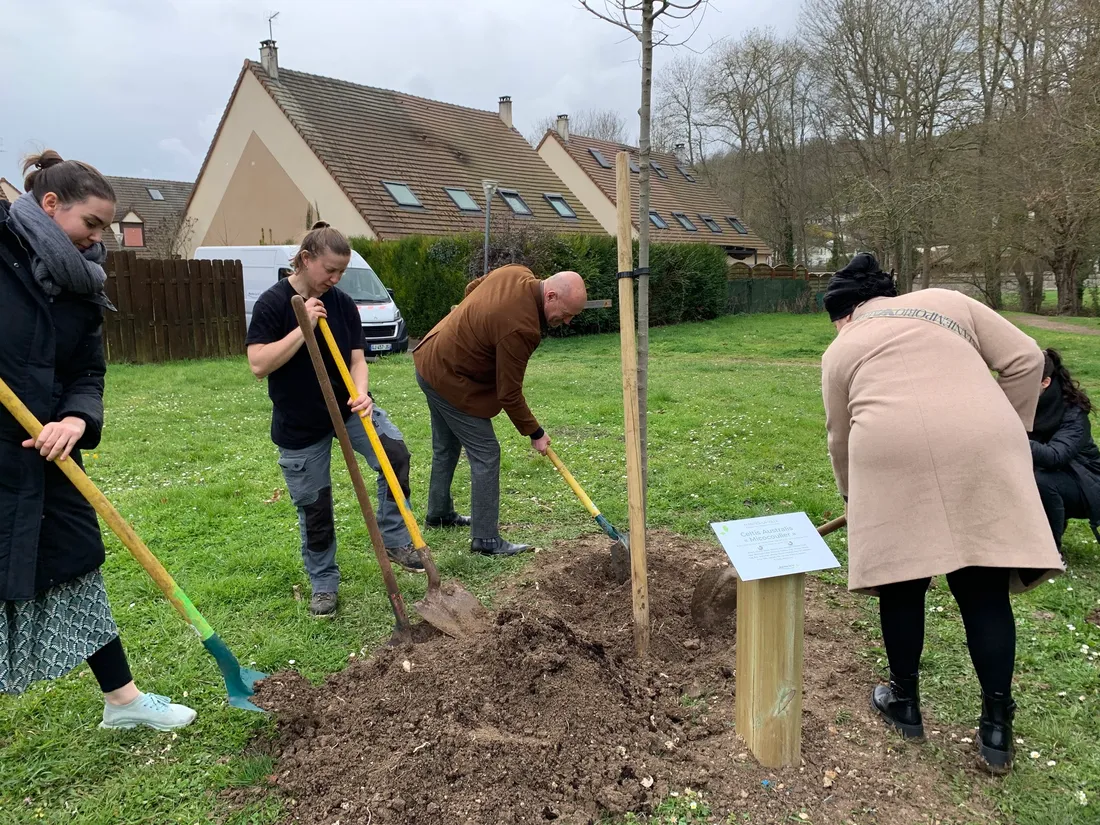 Plantations pour "Un arbre, une naissance"