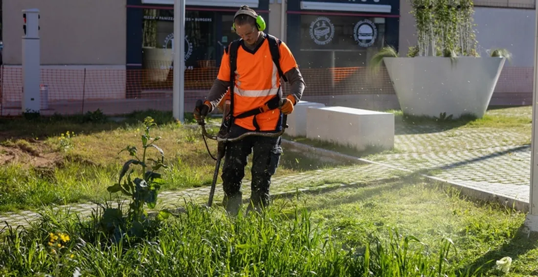 Végétalisation de la place Rotrou