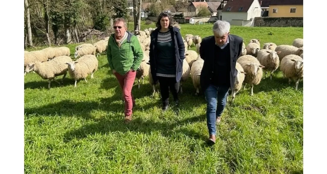 Le maire et des élus de Clermont dans une pâture