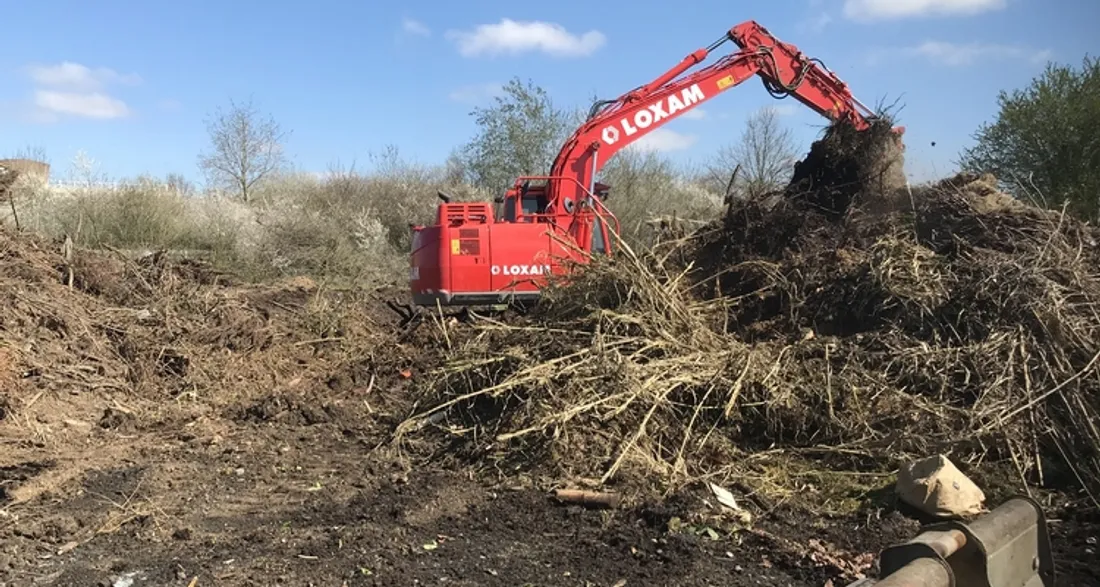 Nettoyage d'une parcelle