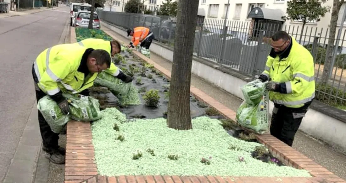 Agents des espaces verts