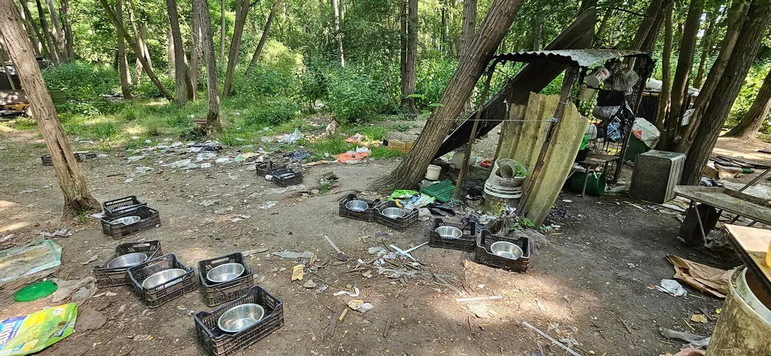 Terrain à Brou-sur-Chantereine