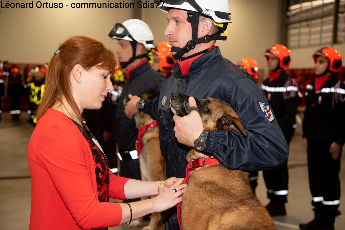 Dax, chien des sapeurs-pompiers, a disparu