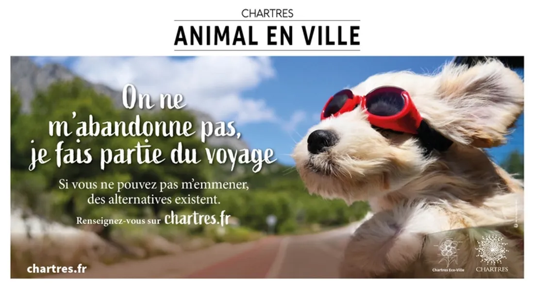 Visuel contre l'abandon