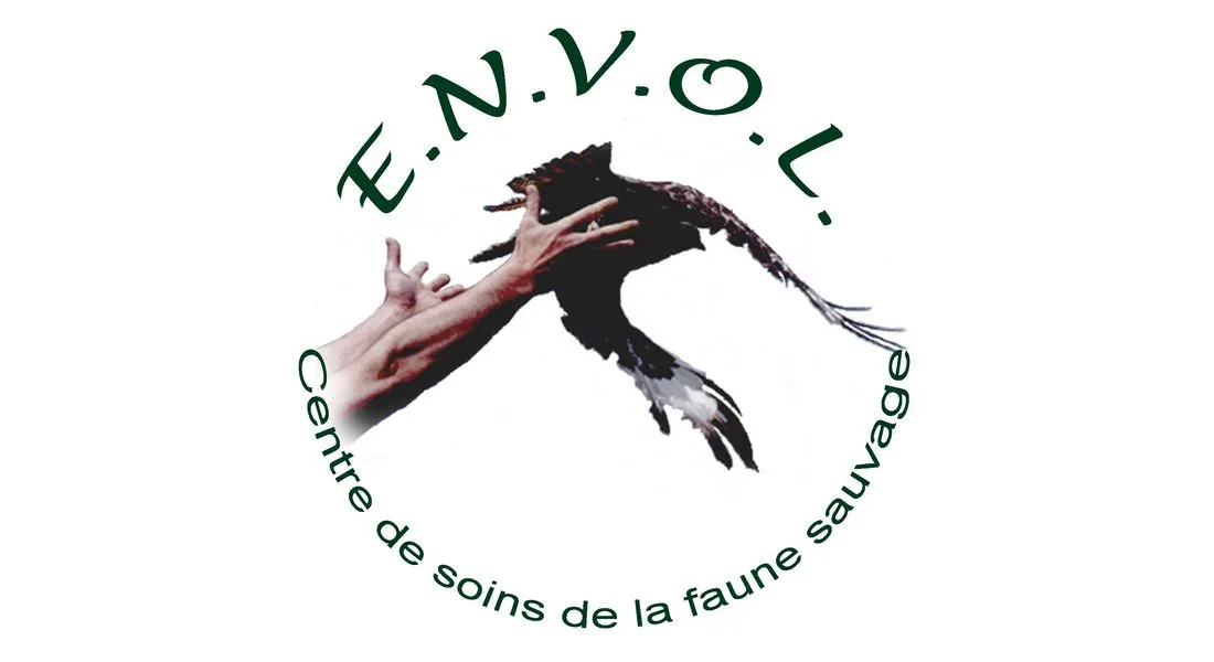 E.N.V.O.L.