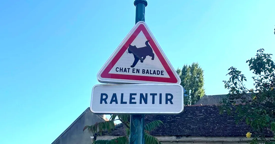 Panneau d'avertissement sur les chats