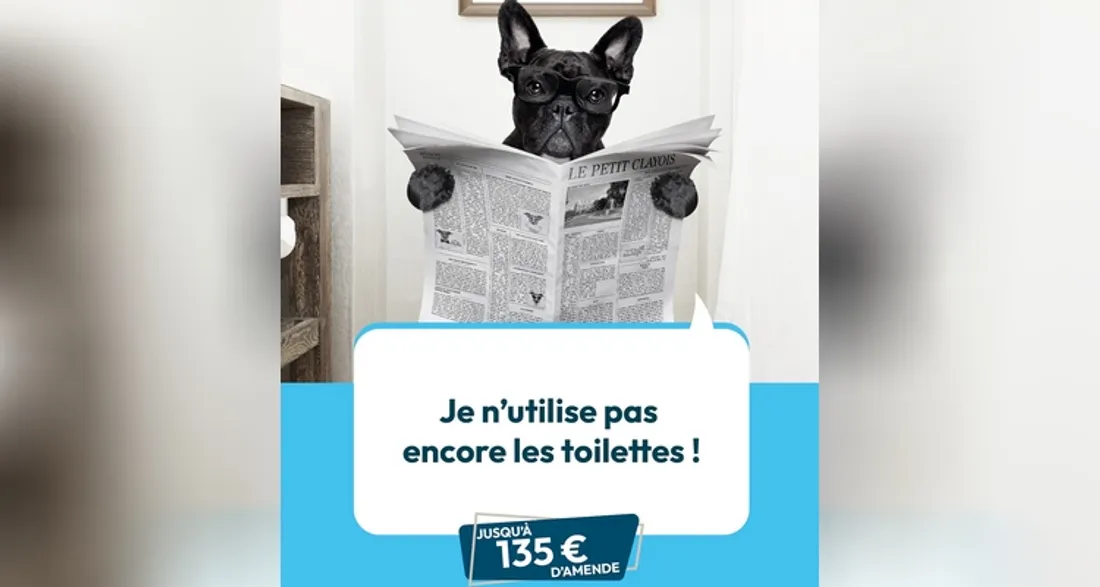 Propreté dans les rues