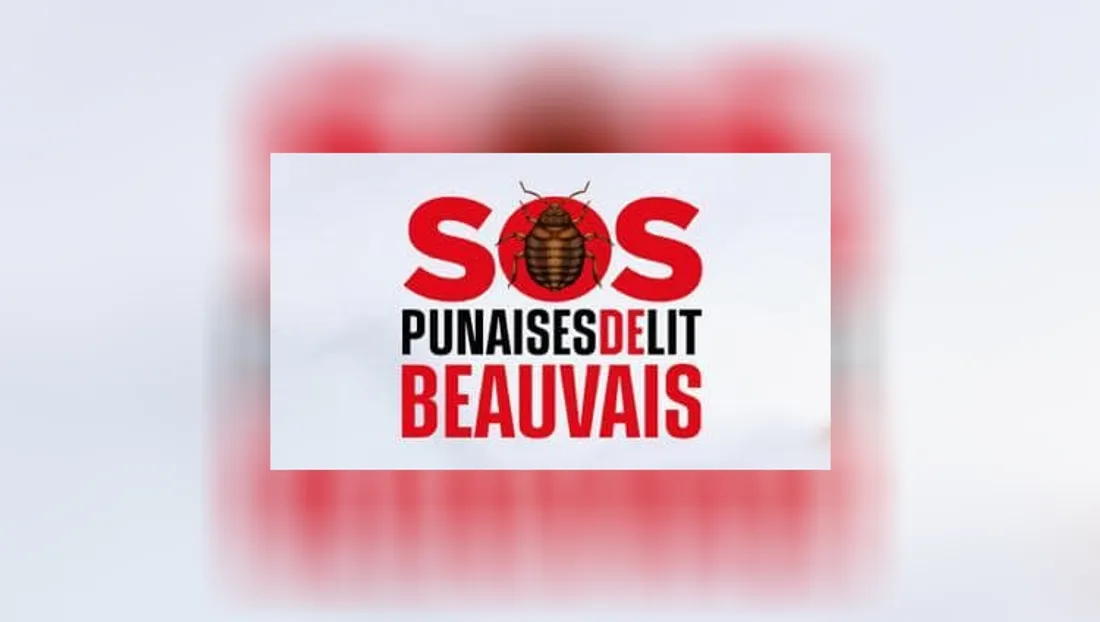 SOS Punaises de lit