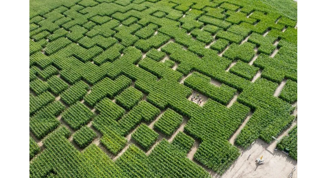 Popcorn Labyrinthe