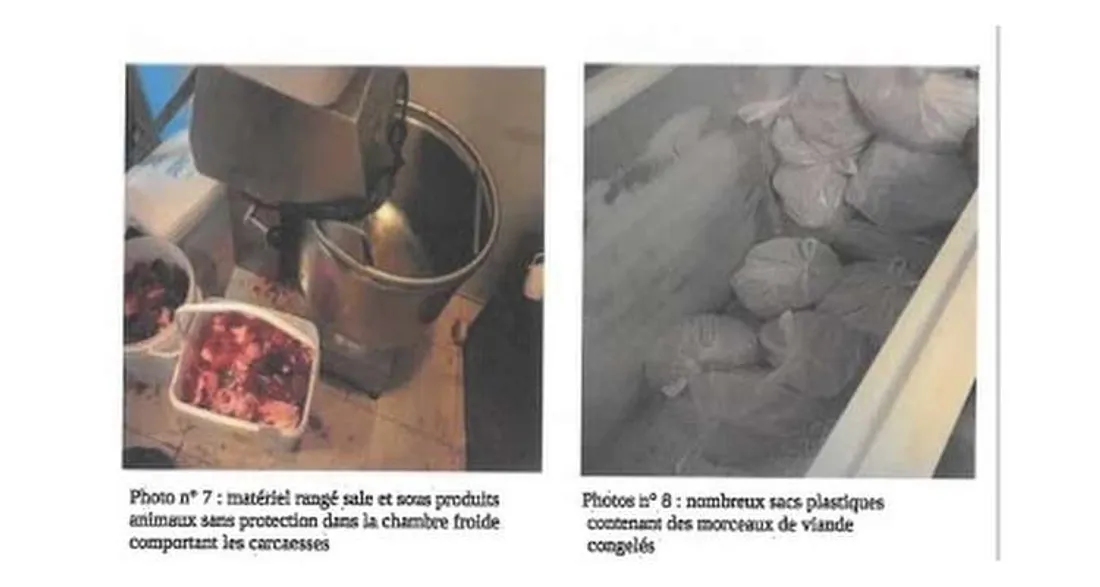 Situation insalubre dans un restaurant