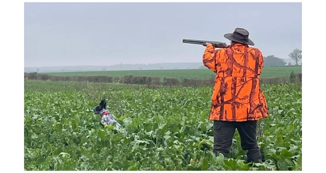 Chasseur visant un oiseau