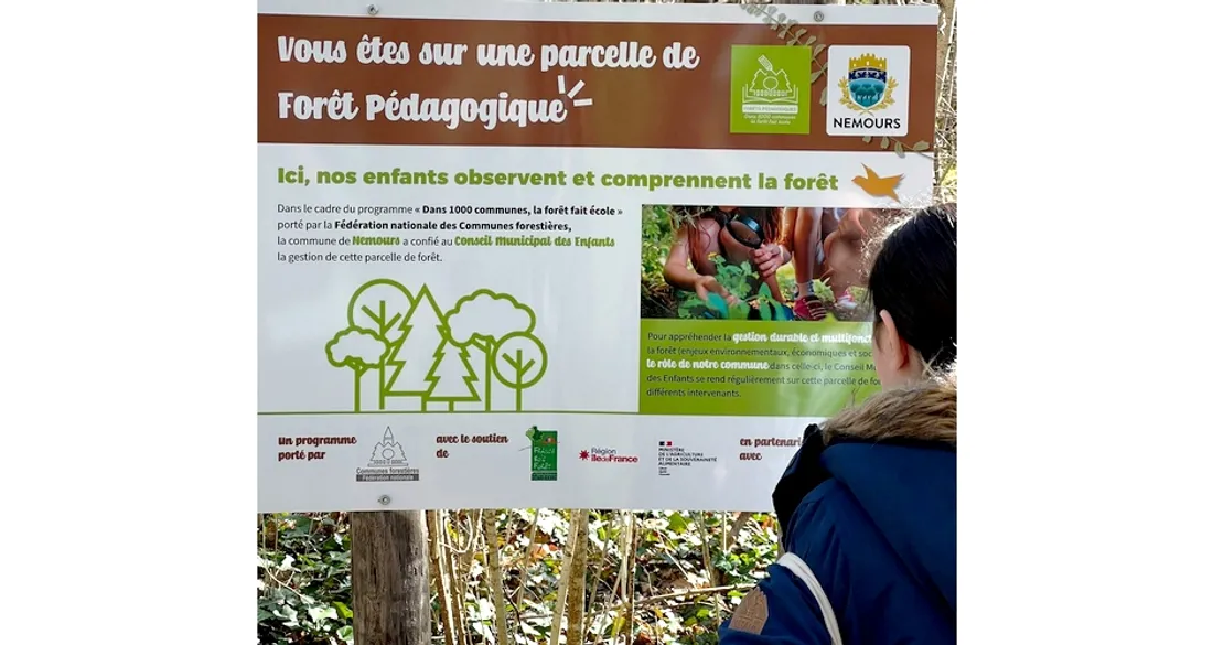 Forêt pédagogique