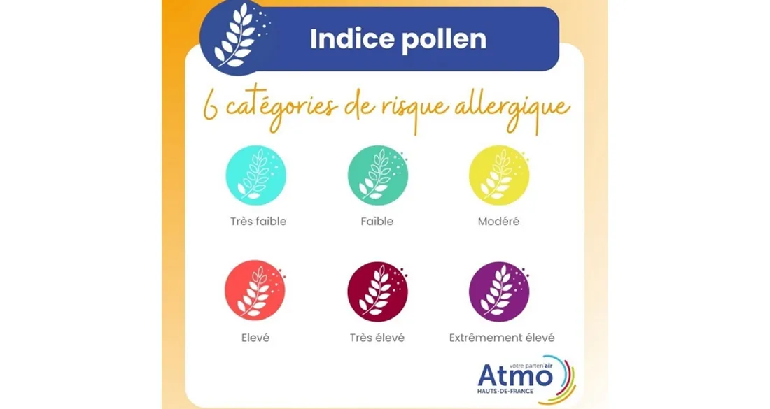 Indice pollen