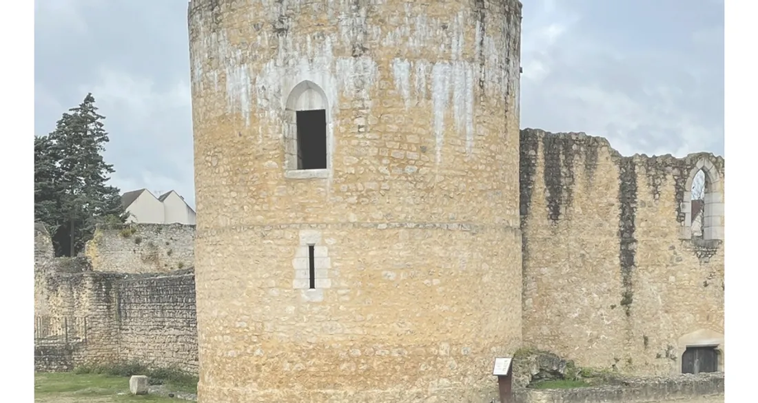 Château de Brie-Comte-Robert