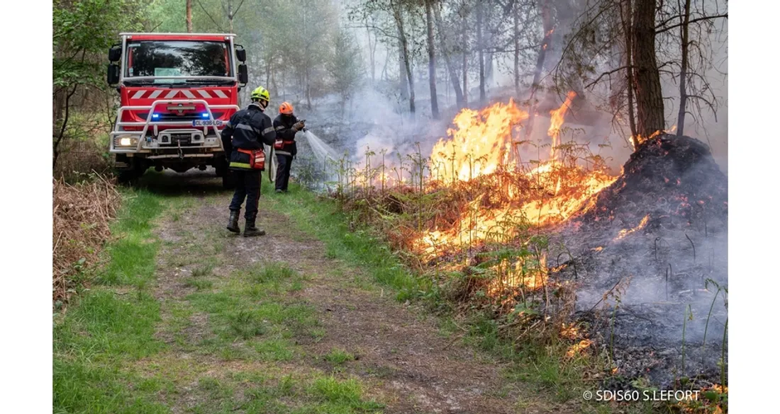 Feu de forêt le 01/05/2025 à Fontaine-Chaalis