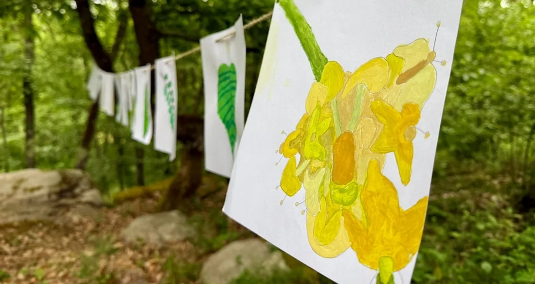Bois pédagogique des Terres rouges