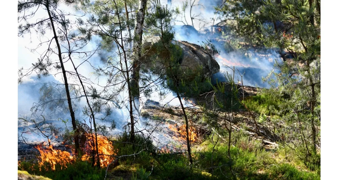 Incendie en forêt de Fontainebleau