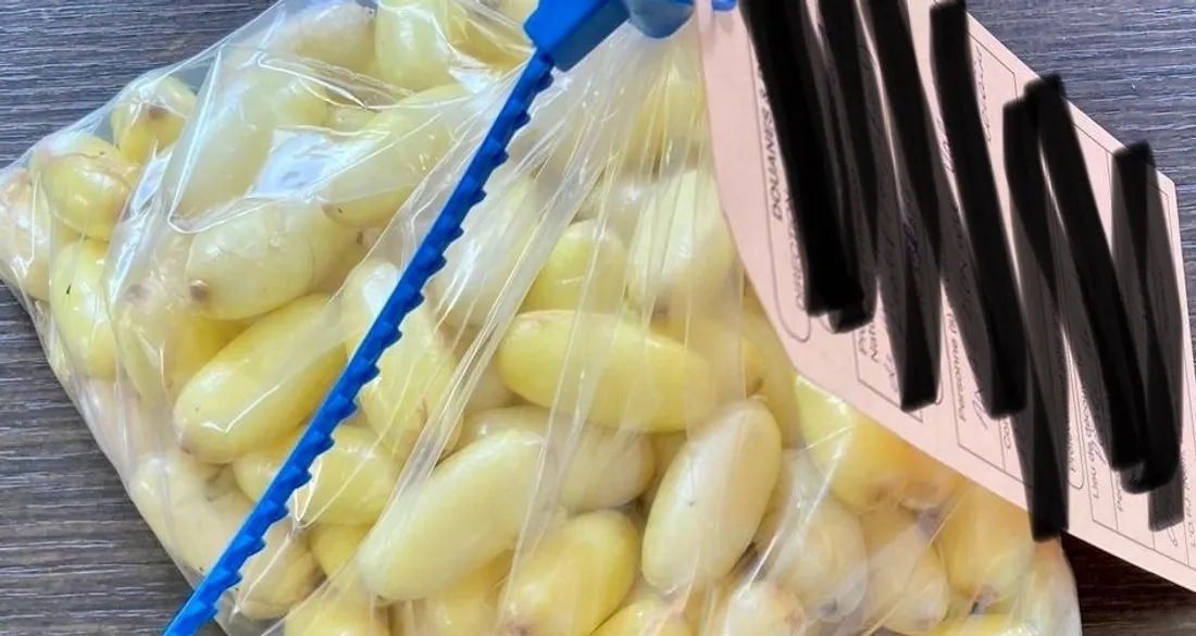 Cocaïne conditionnée