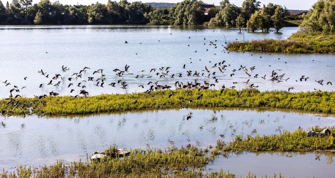 Espace naturel sensible de Seine-et-Marne