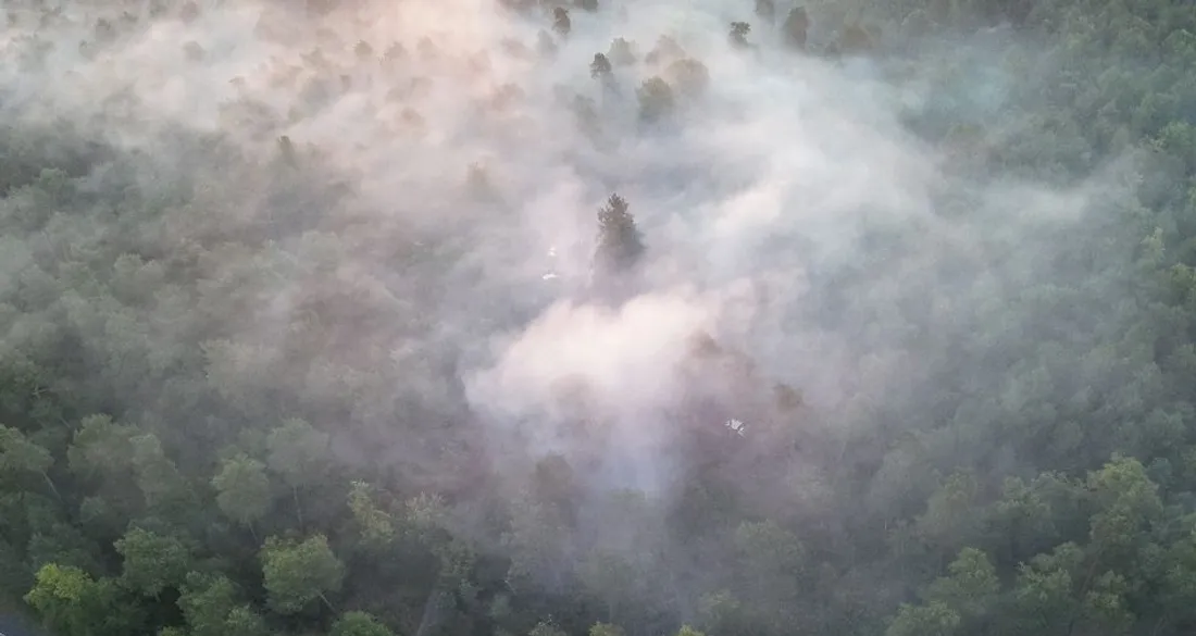 Feu dans la forêt d'Ermenonville