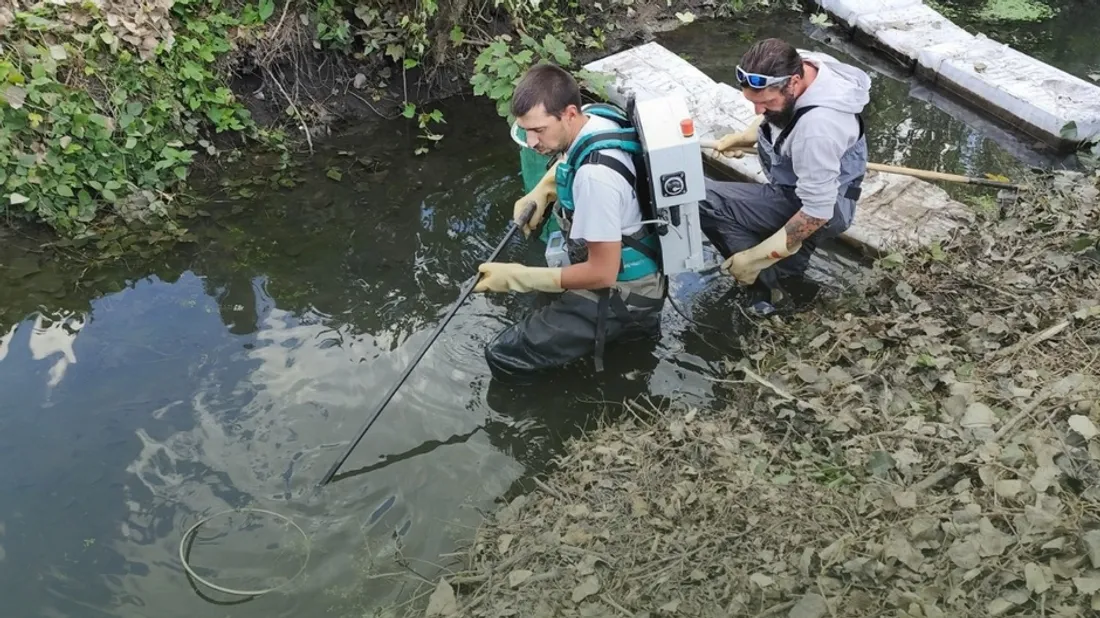 Pêche de sauvegarde dans la Vallée dorée
