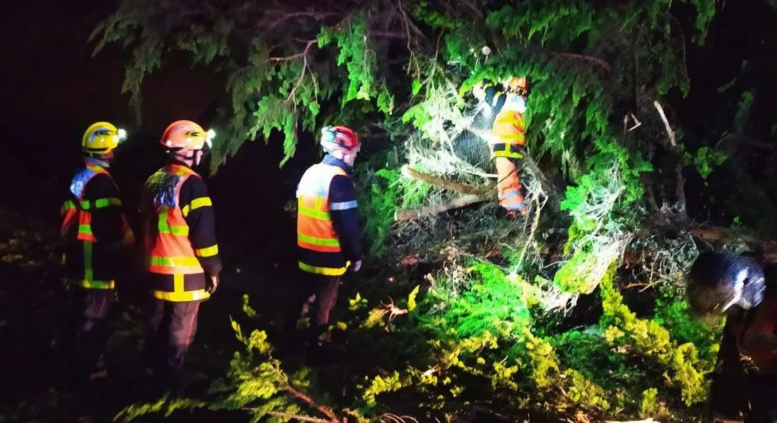 Des pompiers élaguent un arbre après une tornade dans le Val-d'Oise en octobre 2025
