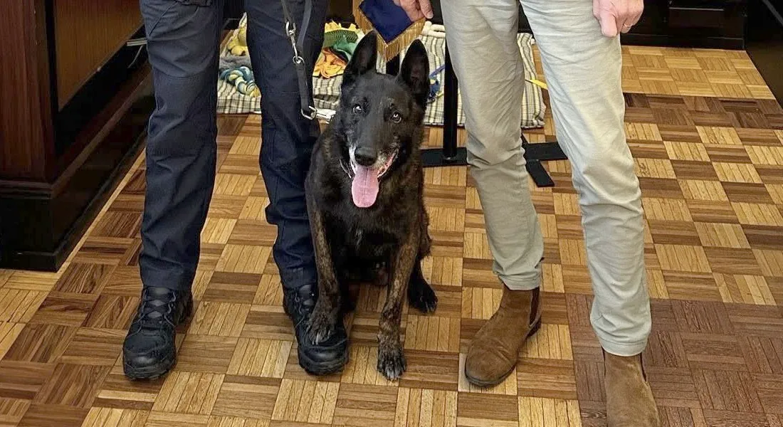 Le chien Murphy part à la retraite