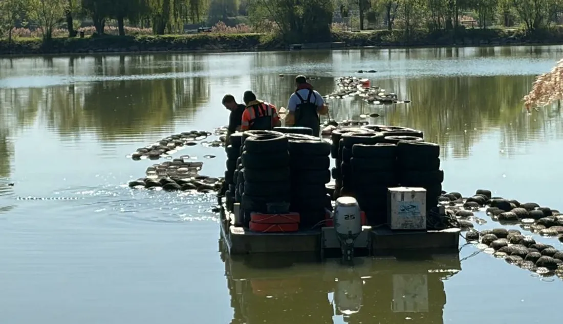Pneus extirpés des eaux des lacs de Viry-Châtillon