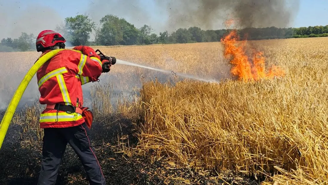 Incendie dans un champ