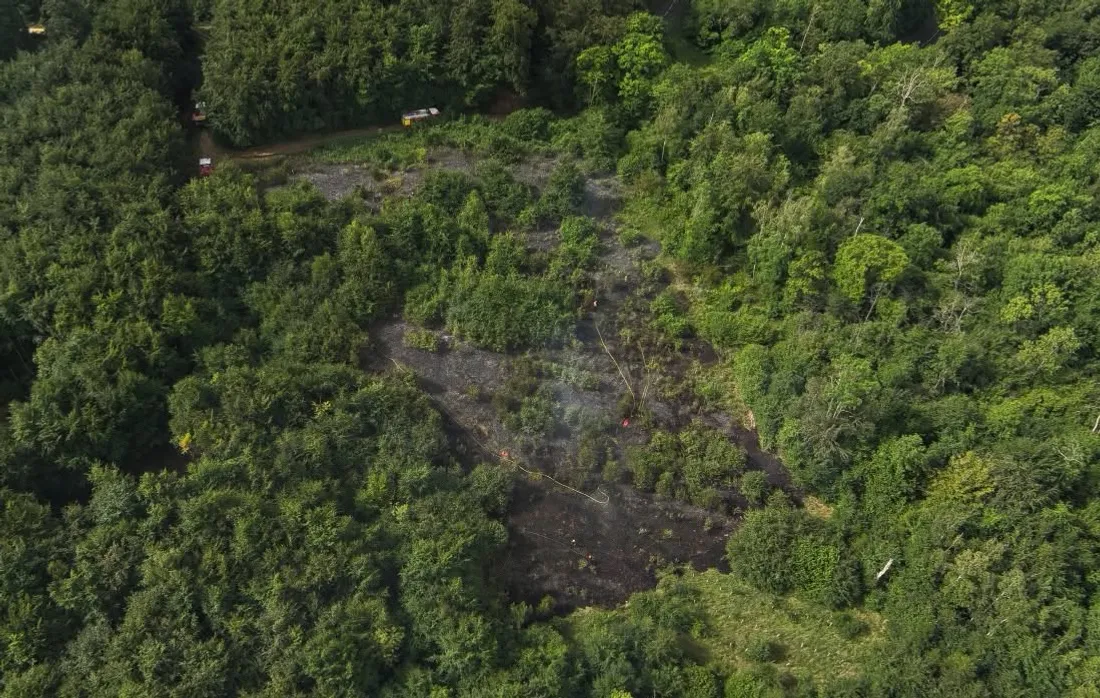 Incendie en forêt de la Neuville-en-Hez