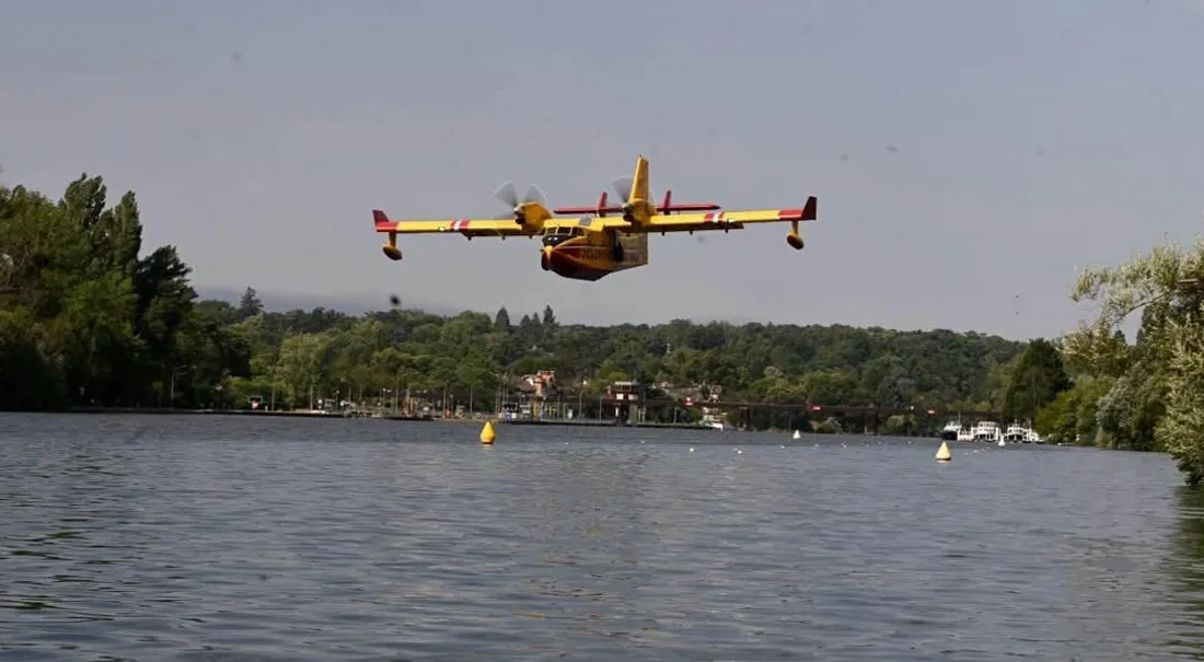Canadair en action