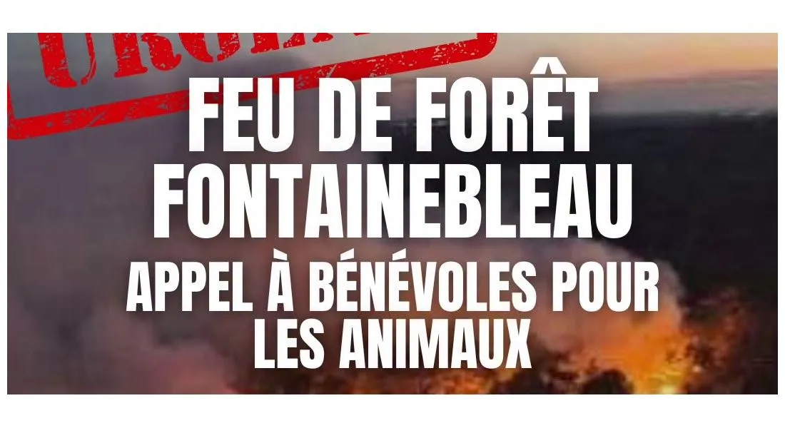 Appel à bénévoles