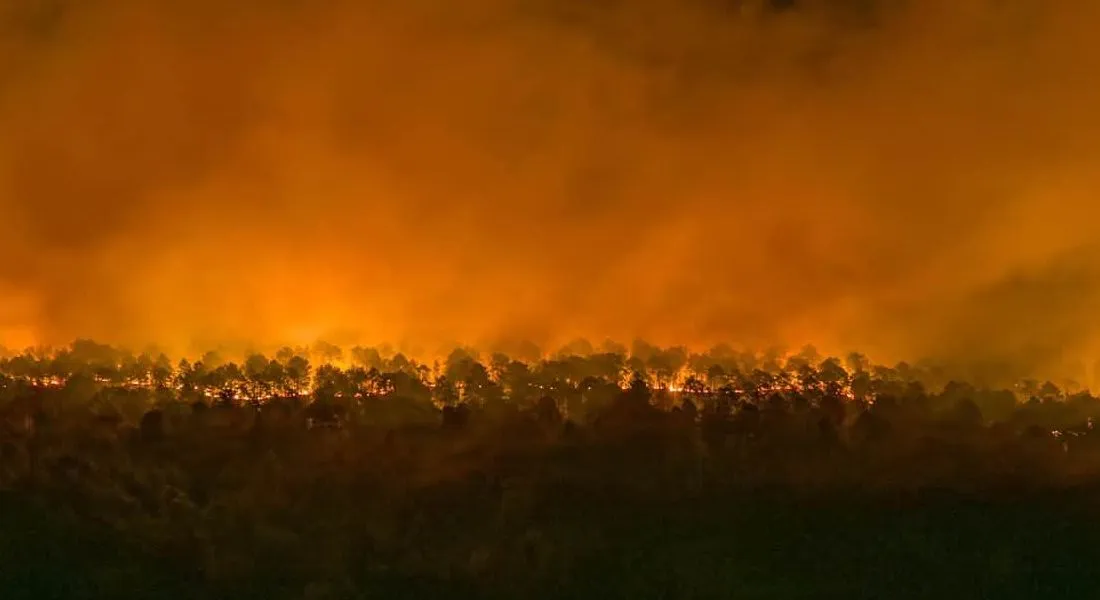 Incendie en forêt de Fontainebleau