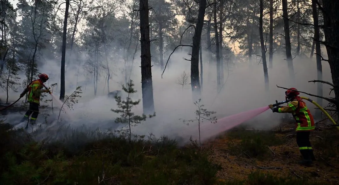 Incendie en forêt de Fontainebleau