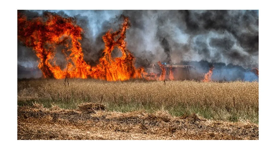 Incendie dans les champs