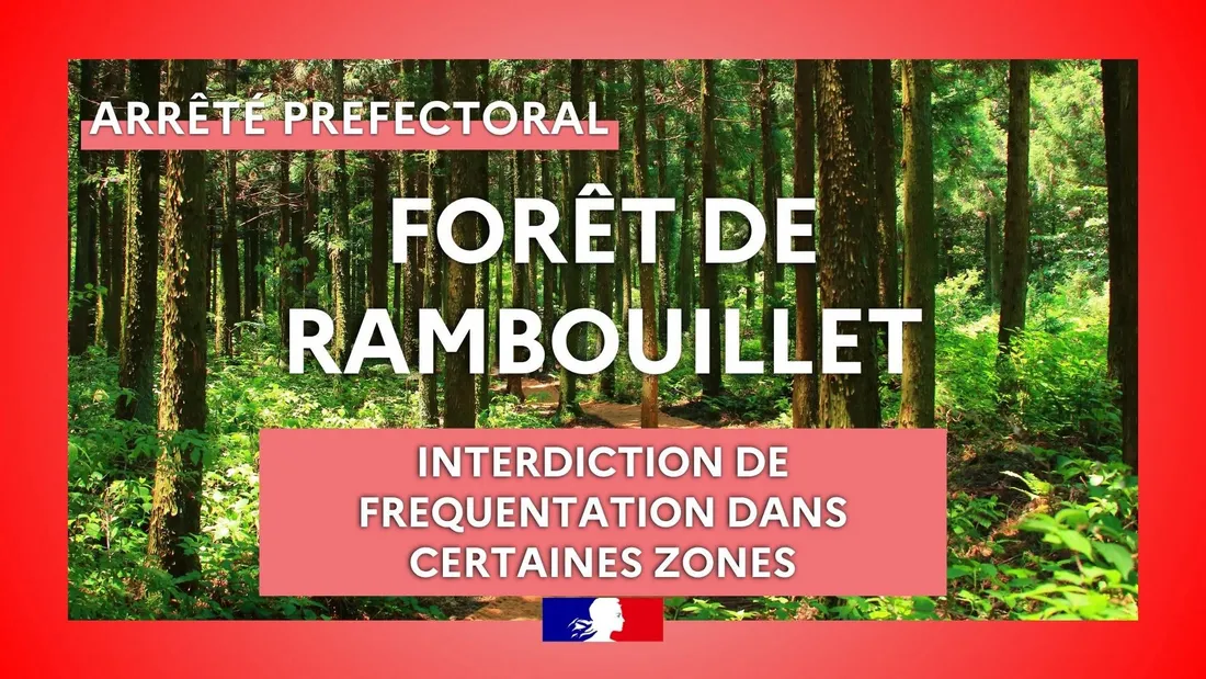 Forêt de Rambouillet