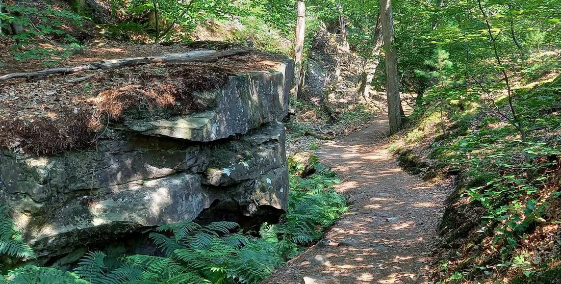 Forêt de Fontainebleau
