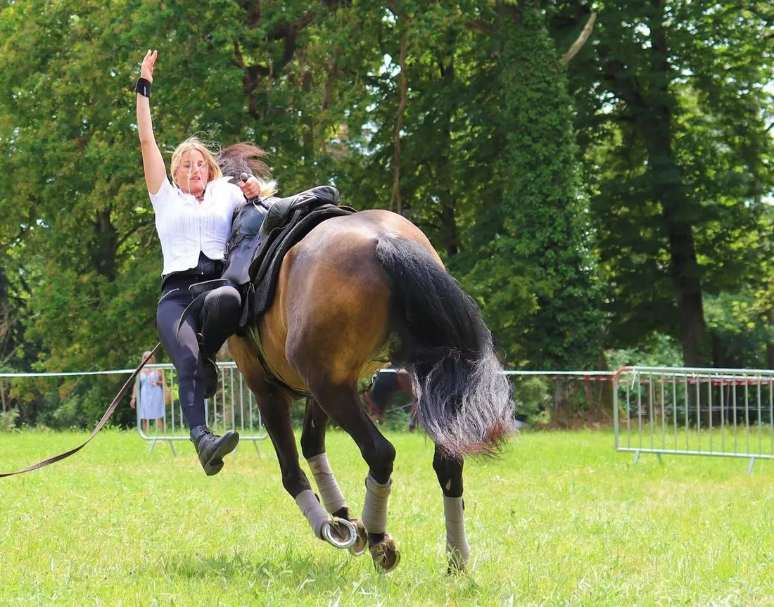 Cascade avec un cheval