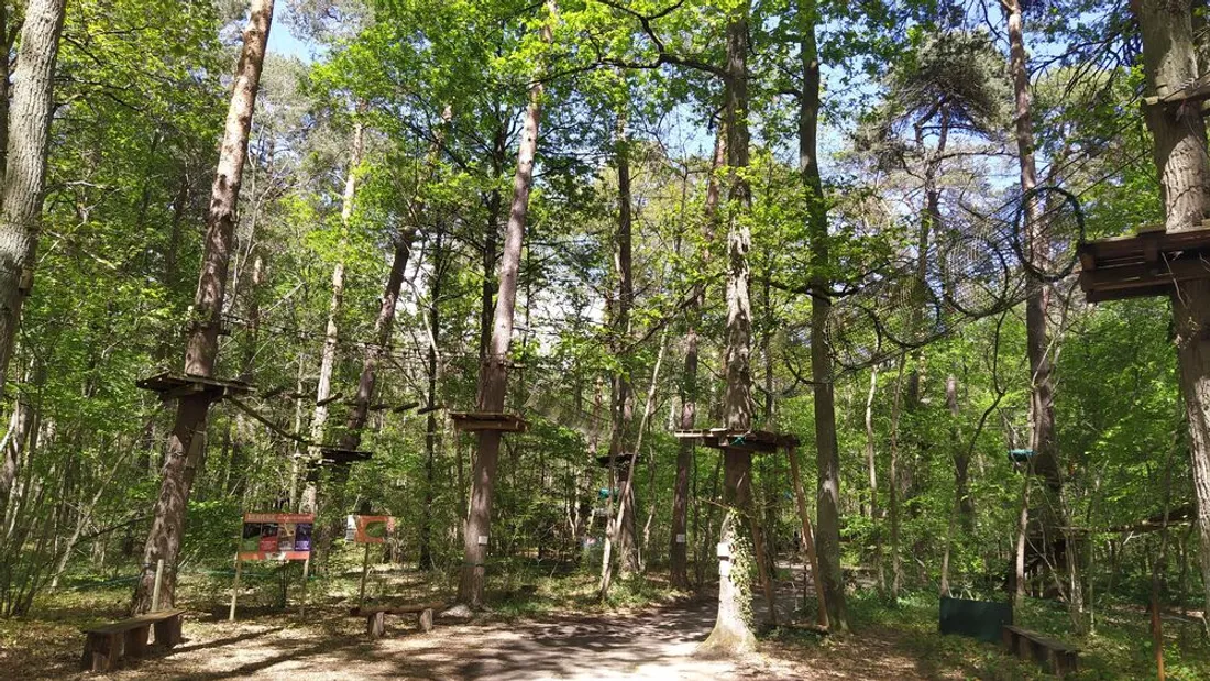 Atout Branches