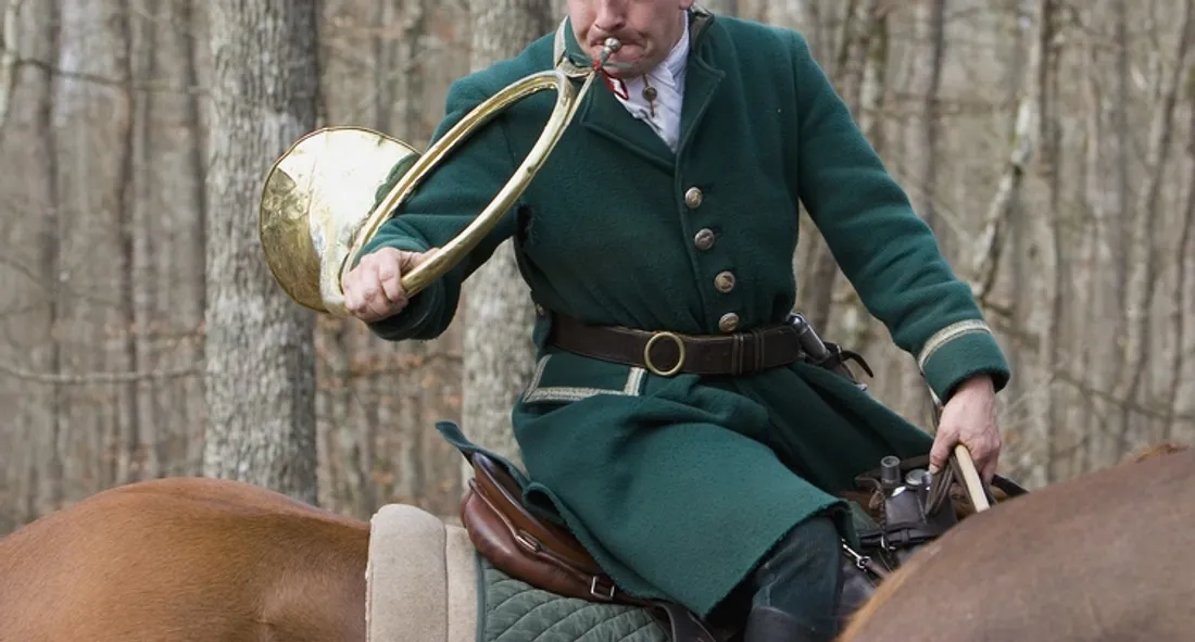 Veneur lors d'une chasse à courre